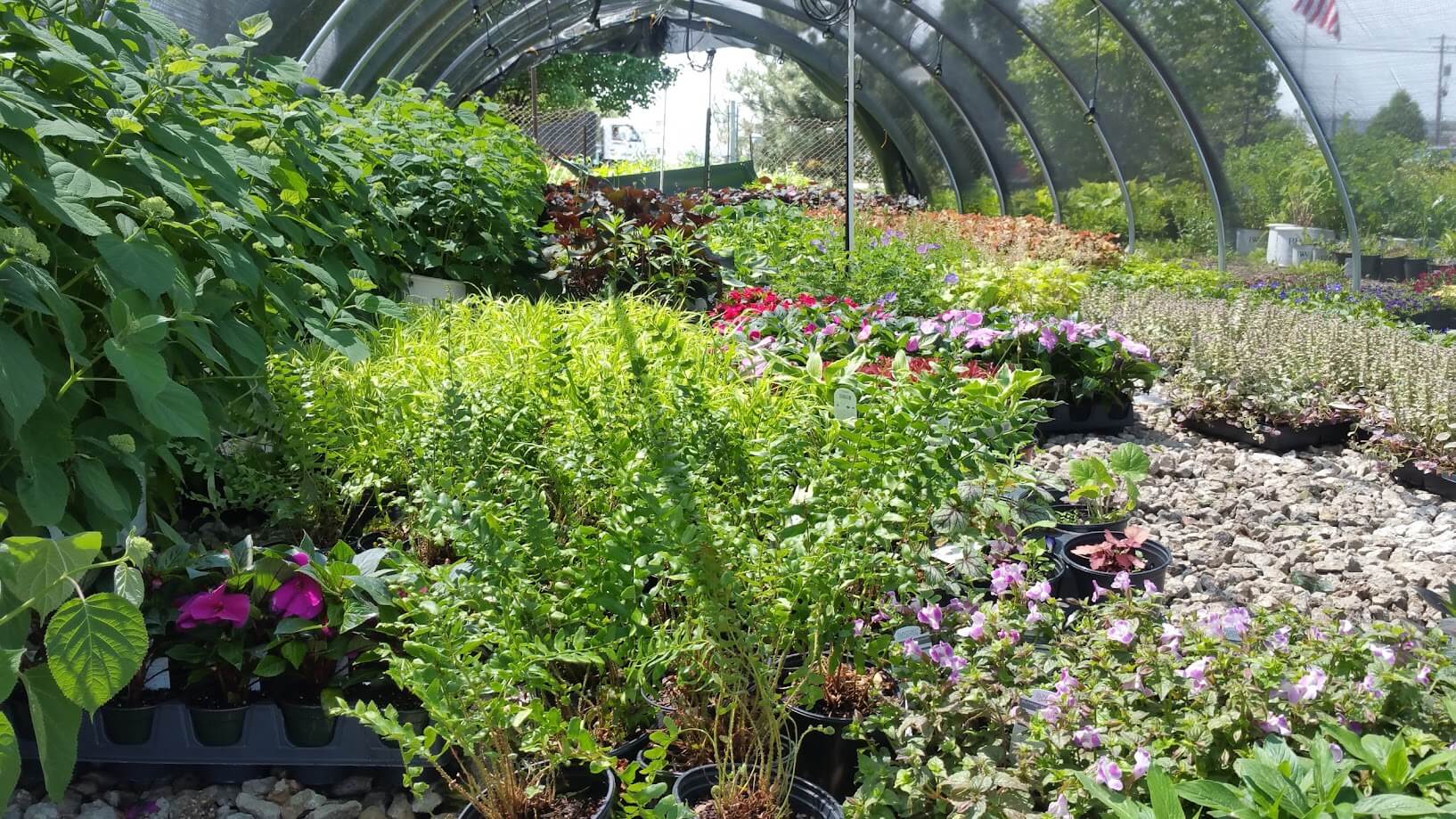 5 Essential Landscaping Tips for a Lush Spring Yard
