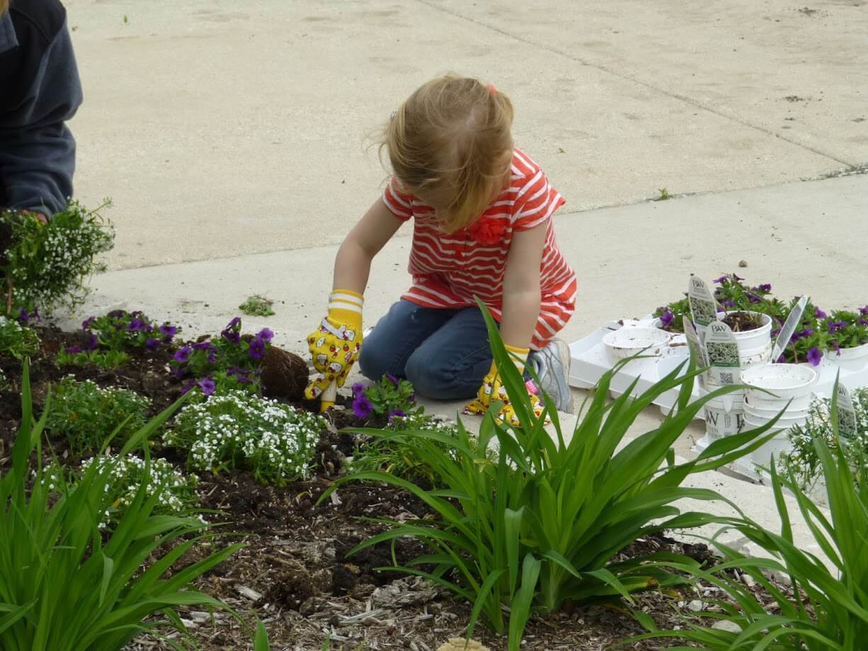 Gardening Tips for Beginners: Starting Your First Alsip Garden