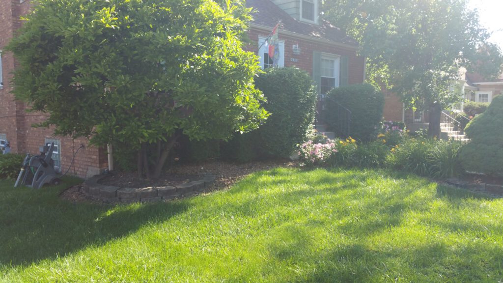 Complete Renovation in Beverly with Backyard Patio and Seatwall
