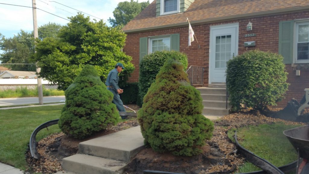 Complete Renovation in Beverly with Backyard Patio and Seatwall
